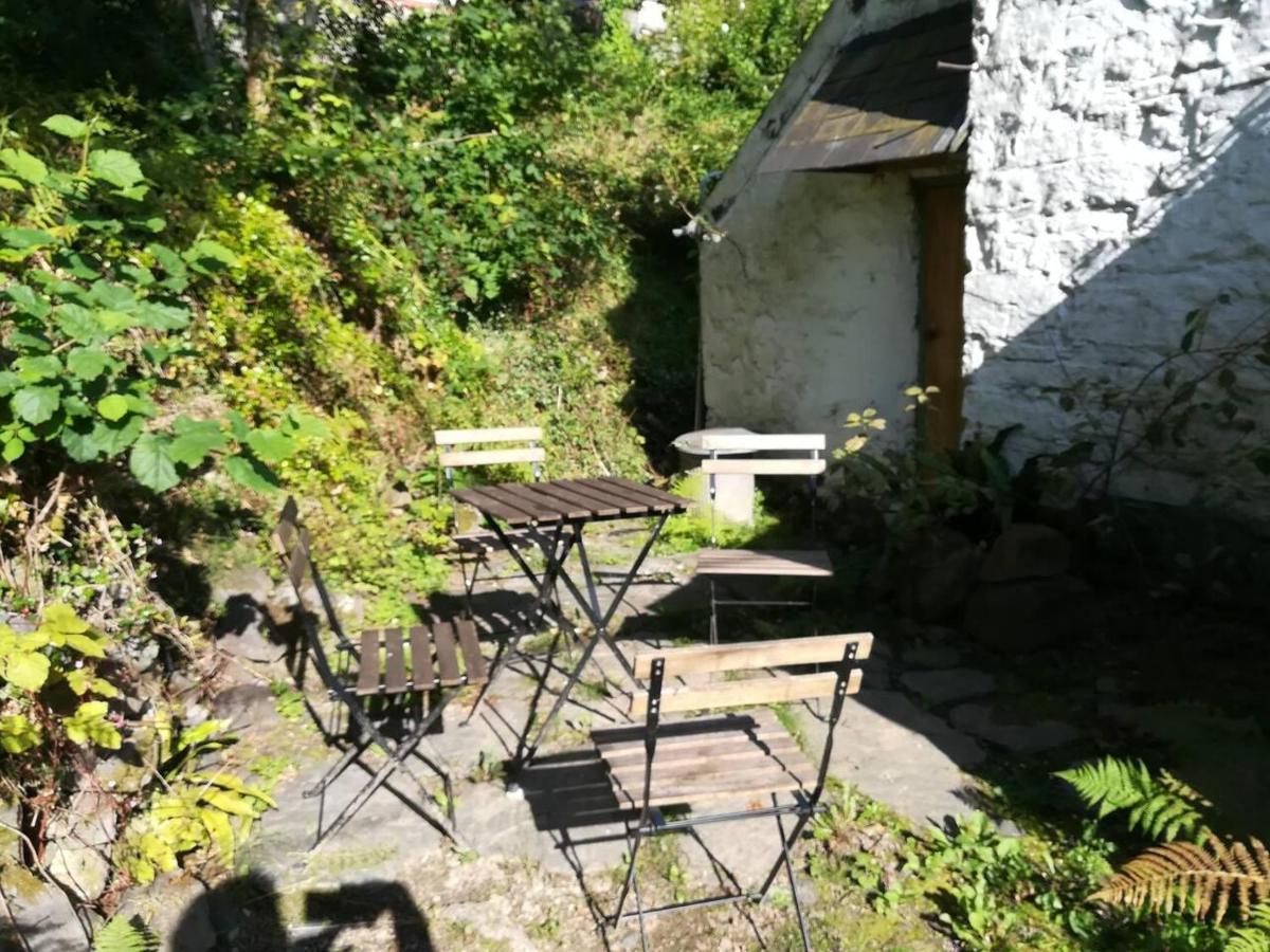 Relaxing Pet Friendly 2-Bed Cottage In Rhandirmwyn Llandovery Exterior foto